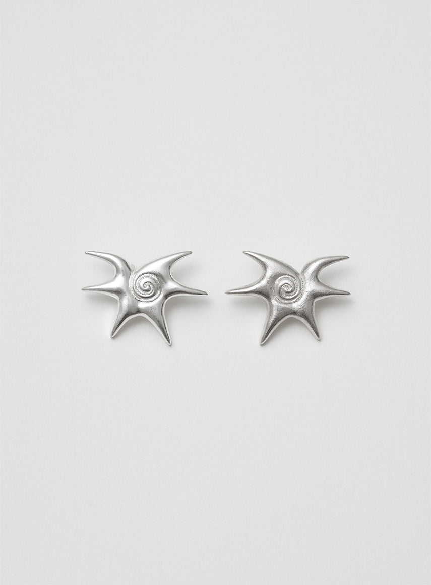 silver earrings
