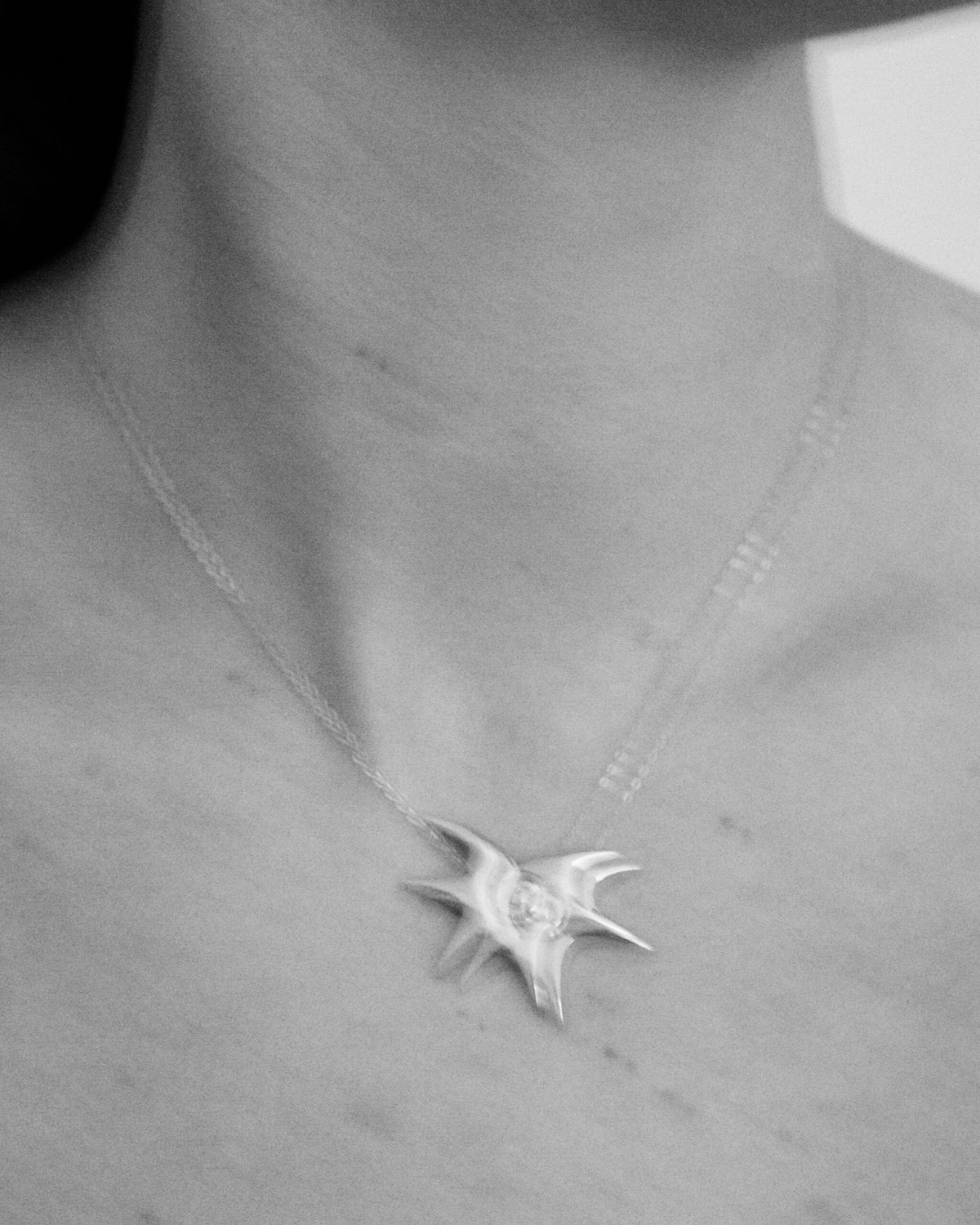 silver necklace