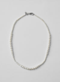 silver necklace