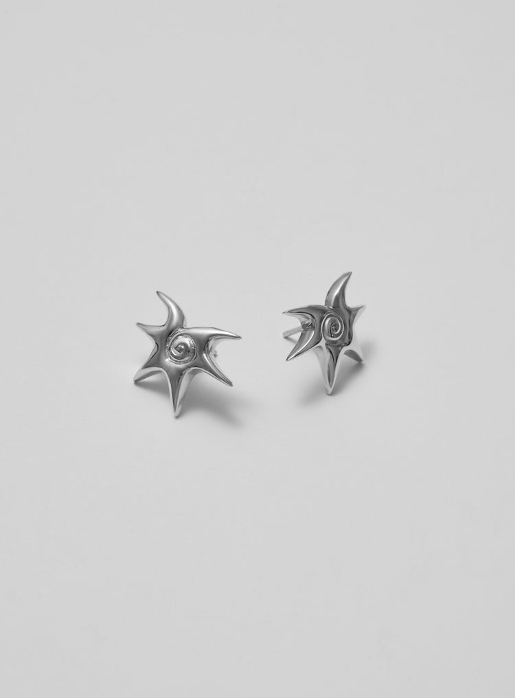 silver earrings