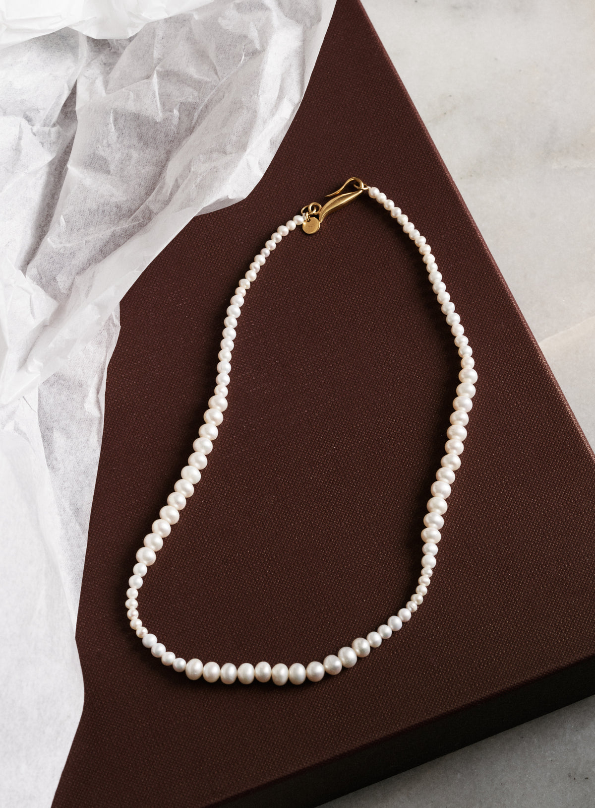 silver necklace