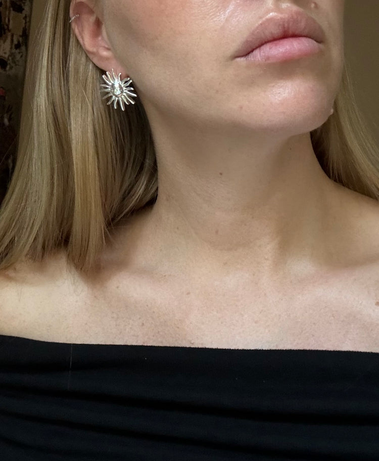 silver earrings