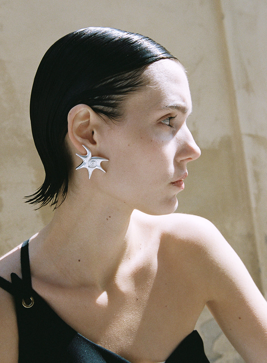 silver earrings