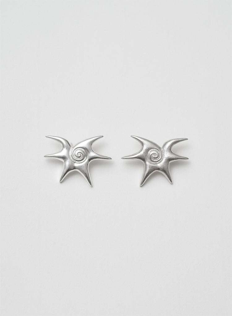 silver earrings