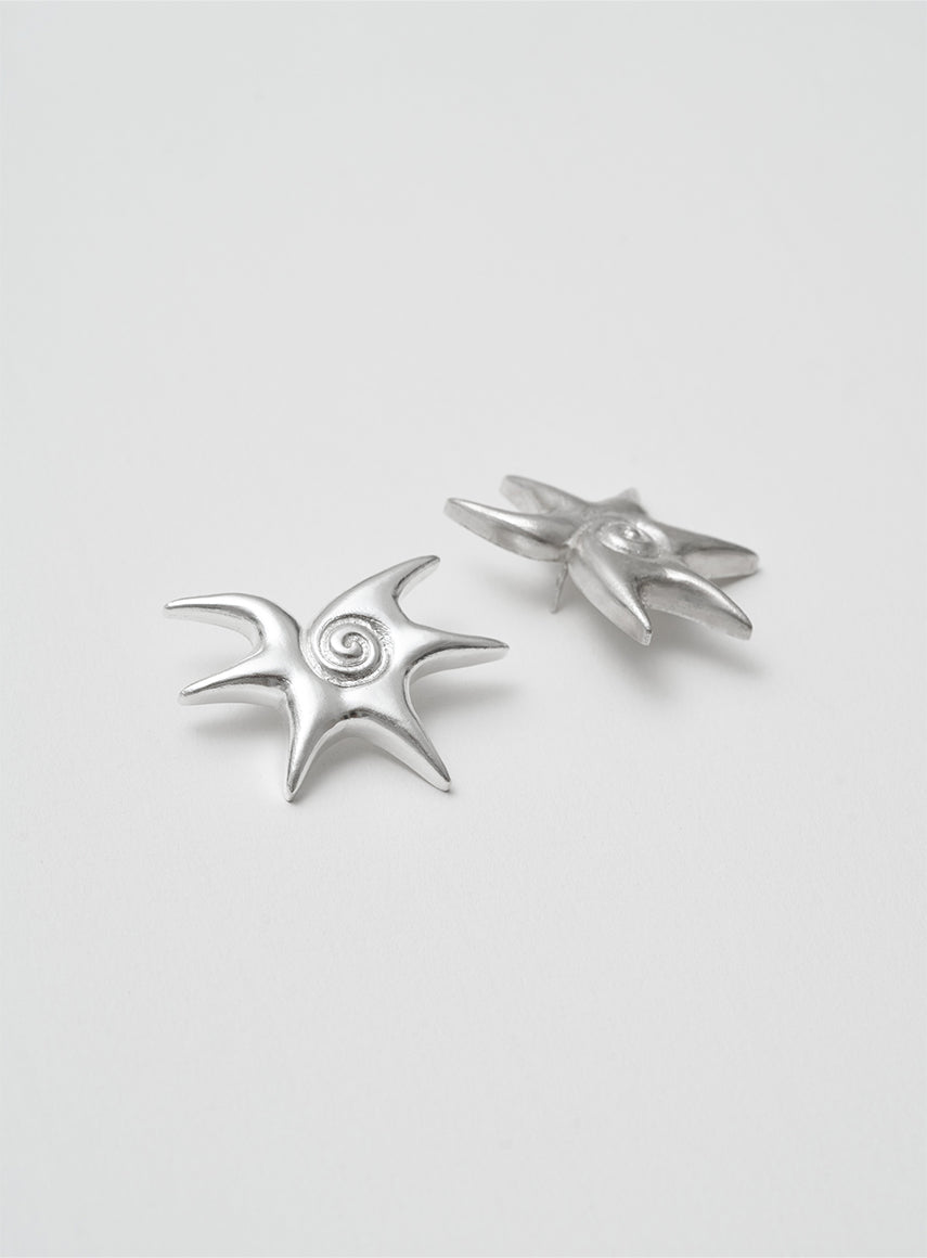 silver earrings