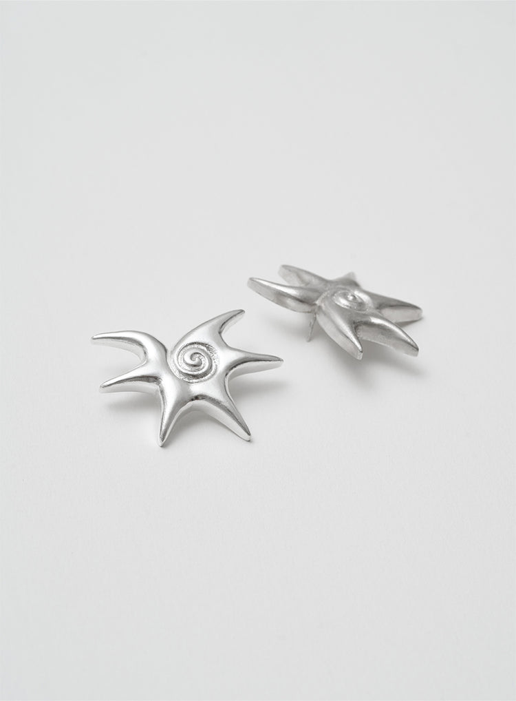 silver earrings